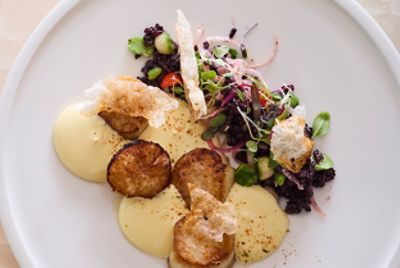 Sea Scallops